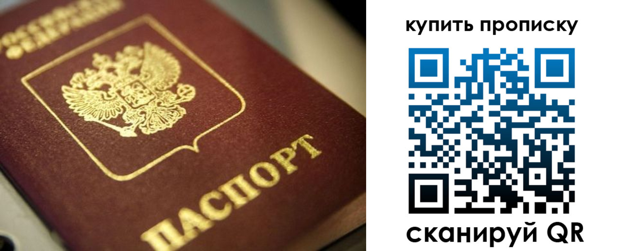 прописка поиск в Гае